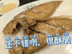 香煎英哥鱼-吴记富苑(朝阳店)