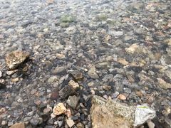 -抚仙湖禄充风景区
