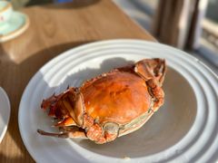 -日丰园海肠水饺·老字号大连海鲜(小平岛总店)