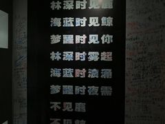 -深圳失恋博物馆再见前任(汇商名苑店)