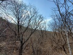 -妙峰山风景名胜区