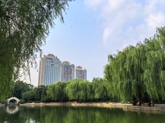 -团结湖公园