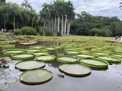 -西双版纳傣族园