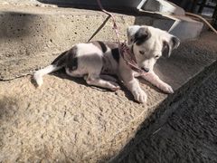 -状元楼(金溪路店)