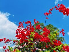 -璞真扎染博物馆