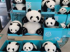 -熊猫屋(宽窄巷子景区店)