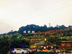-枇杷园食为鲜火锅(南山店)
