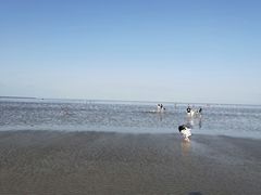 -南汇嘴观海公园