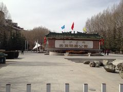iphone_upload_pic-宗角禄康公园
