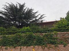 -烟台山景区
