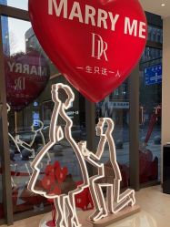 -DR钻戒(杭州星光大道店)