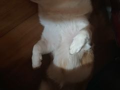 -纽斯桑拿会所(天山店)