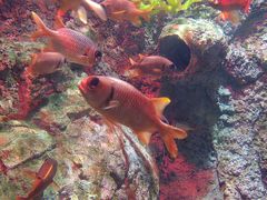 -太平洋海底世界