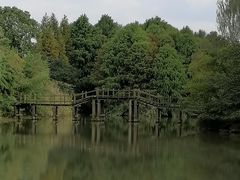 -梁鸿国家湿地公园