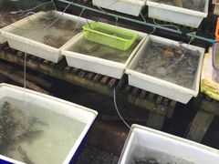 -拉威海鲜市场
