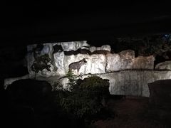-清迈夜间动物园