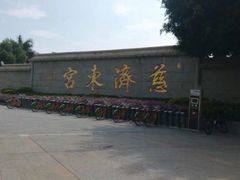 -青礁慈济宫