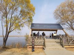 -野鸭湖国家湿地公园