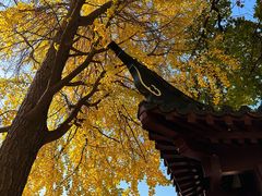 -郑和公园