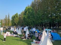 -黄海国家森林公园