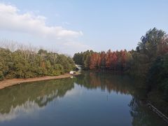 -上海海湾国家森林公园