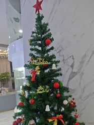 -上海漾颜医疗美容