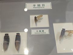 -上海昆虫博物馆