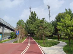-东升八家郊野公园
