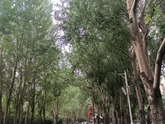 -长春公园(普阳街道)