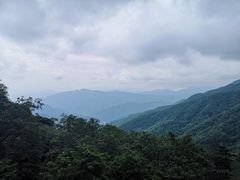 -牛背梁国家森林公园