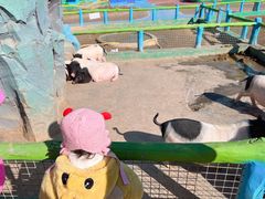 -宿豫区运河湾森林动物园