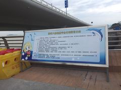 -演武大桥观景平台