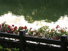 -广州市帽峰山景区