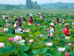 -武汉紫薇都市田园