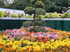 -南山植物园