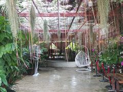-万兴启丰椰子文化园餐厅