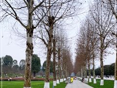 -重庆中央公园(渝北区)