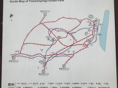 -铁山坪森林公园