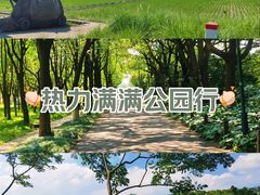 -嘉北郊野公园