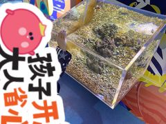 -沙沙哗啦海洋馆(华宇百花谷店)