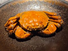 -雍容荟活龙虾自助餐(IFS黑金店)