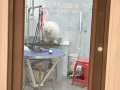-瑞鹏宠物医院·骨科·猫科·内科(第一中心)