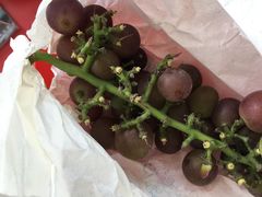 -马陆小张葡萄园农家乐