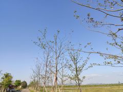 -漩门湾国家湿地公园