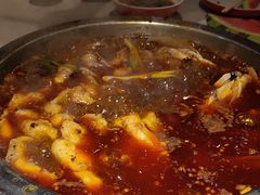-蜀滋香鲜鱼美蛙火锅(339店)