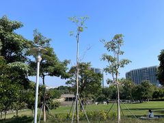 -宝安西湾红树林湿地公园