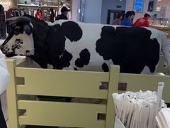 -红星前进面包牛奶公司(君太店)