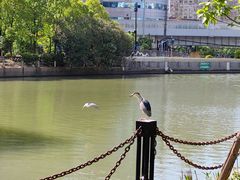 -苏州河梦清园环保主题公园