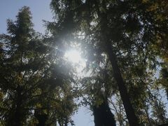 -西安理工大学(金花校区)