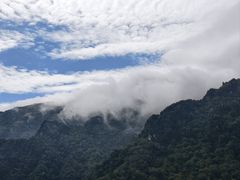 -牛背梁国家森林公园